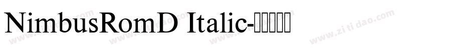 NimbusRomD Italic字体转换